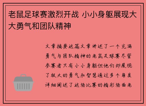 老鼠足球赛激烈开战 小小身躯展现大大勇气和团队精神